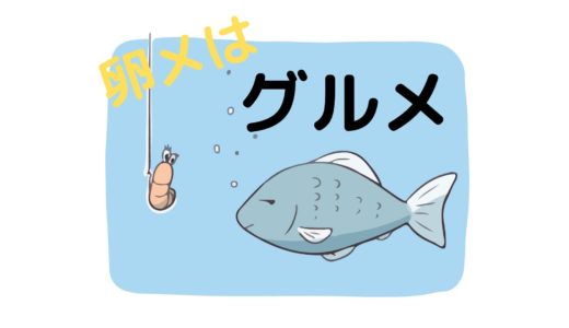 卵生メダカに乾燥餌！？