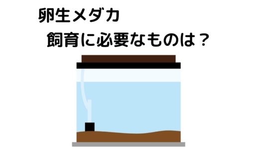 卵生メダカ飼育に必要なものは？絶対に必要なもの編