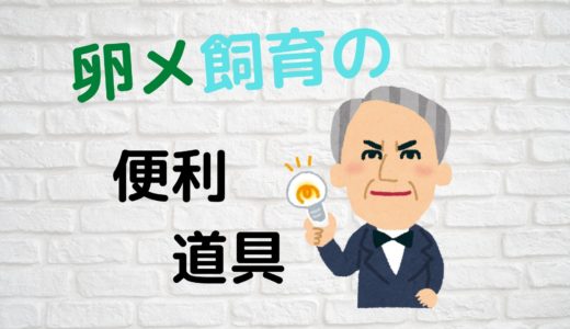 卵生メダカ飼育に必要なものは？あると便利なもの編